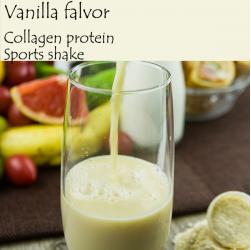 Fish Collagen Protein Sports Shake (Vanilla)