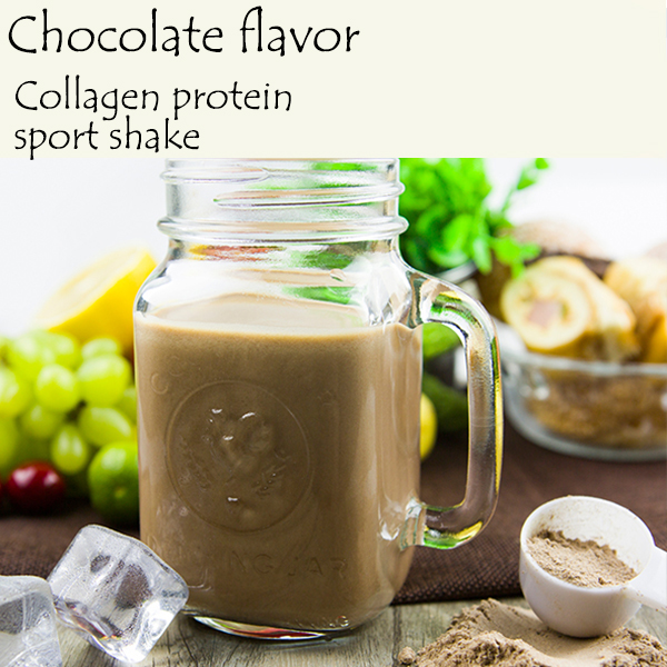 Fish Collagen Protein Sports Shake (Chocolate)